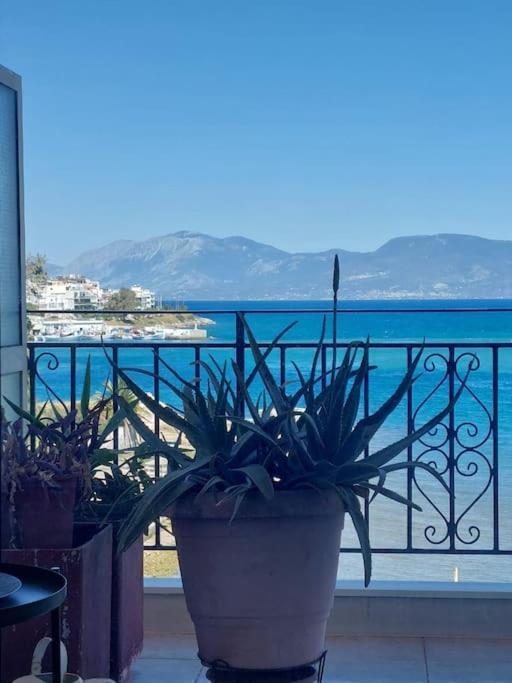 Bright Central Apartment With Splendid Sea View! Chalkís 外观 照片
